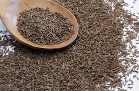 Caraway seed