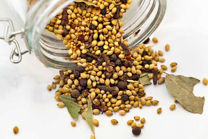 Mustard Seeds Yellow,Black/Brown, & Mixed)