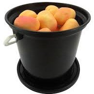 Oumas Apricots